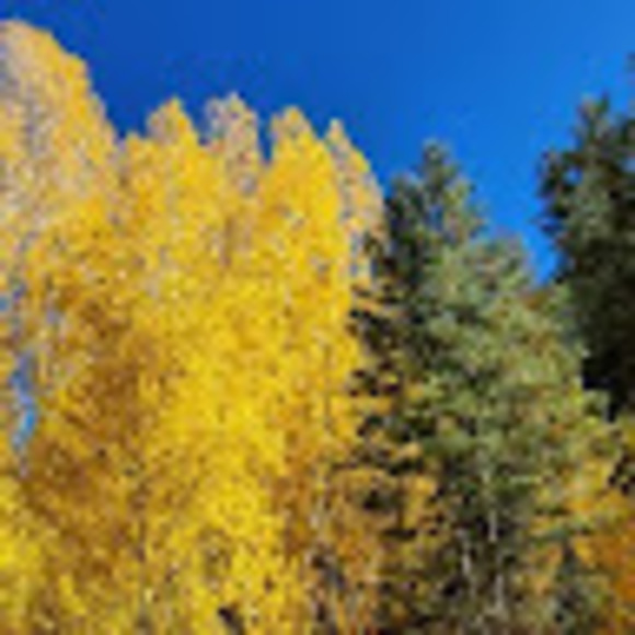 Meet your Posher, Angi - Picture 1 of 1